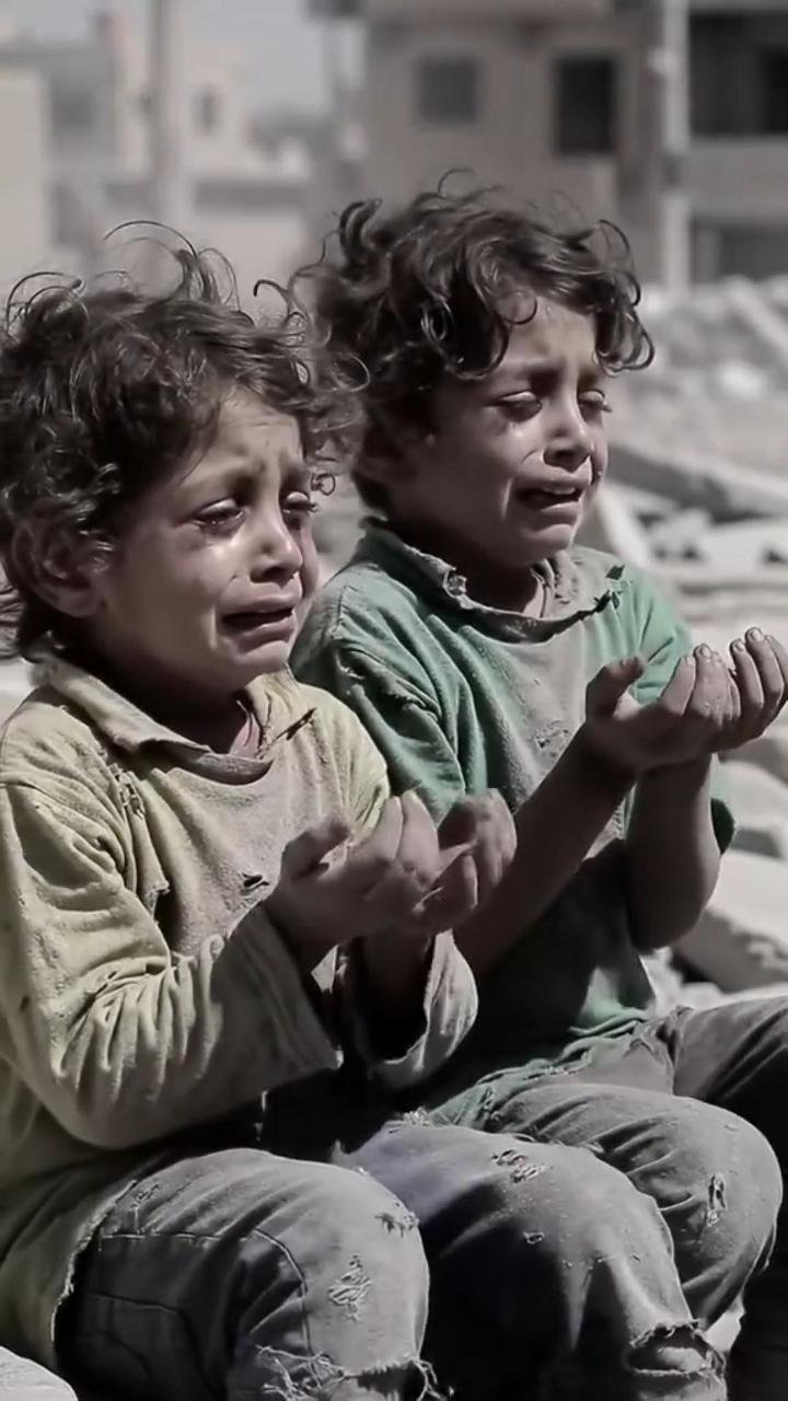 Provide more help to orphans in Gaza. - Image 5