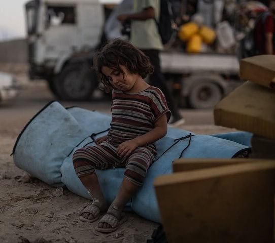 Provide more help to orphans in Gaza. - Image 4