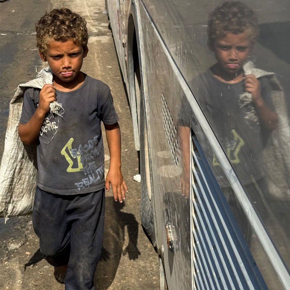 Provide more help to orphans in Gaza. - Image 6