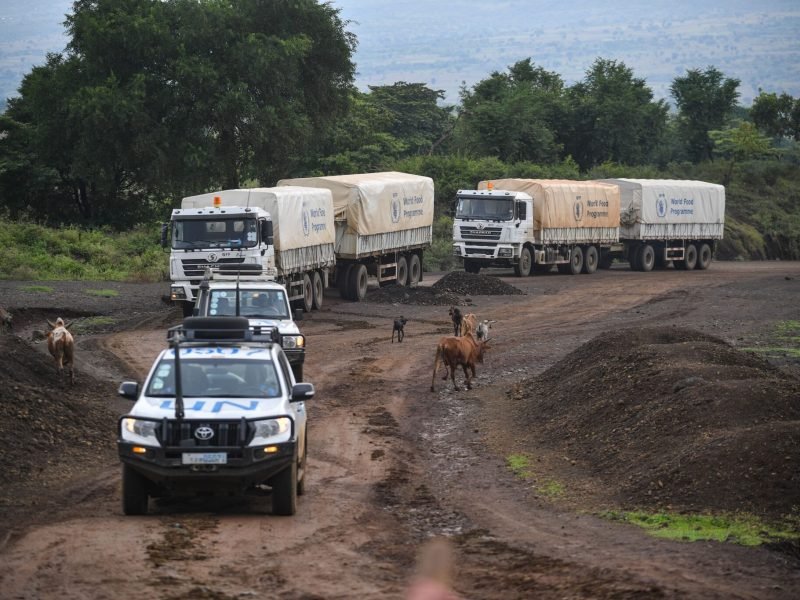 wf1914744-wfp_9959-2048x1365